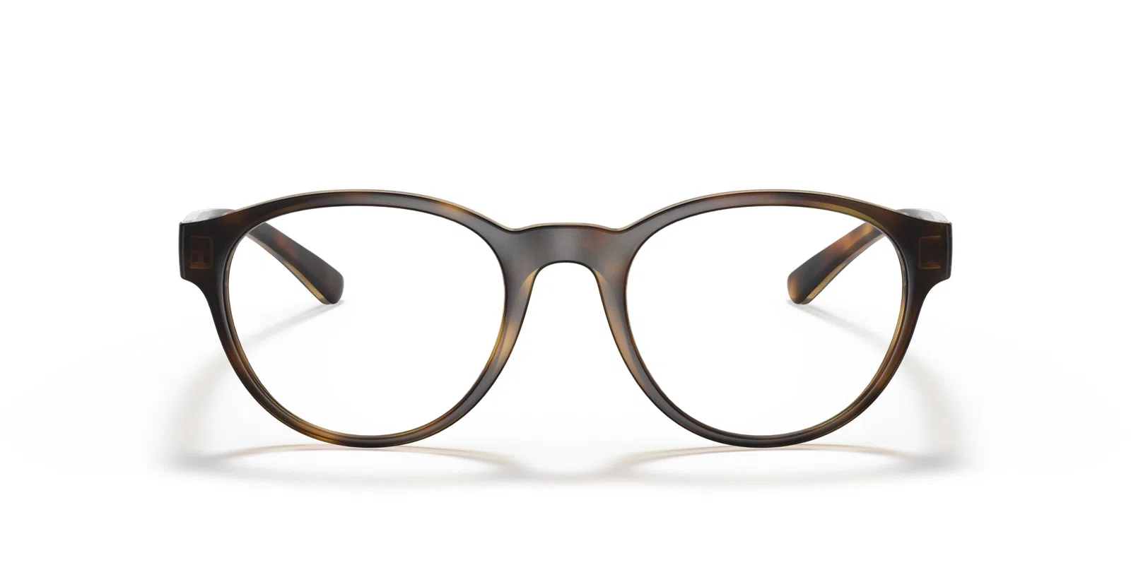 Polo 2238 Eyeglasses - view 8